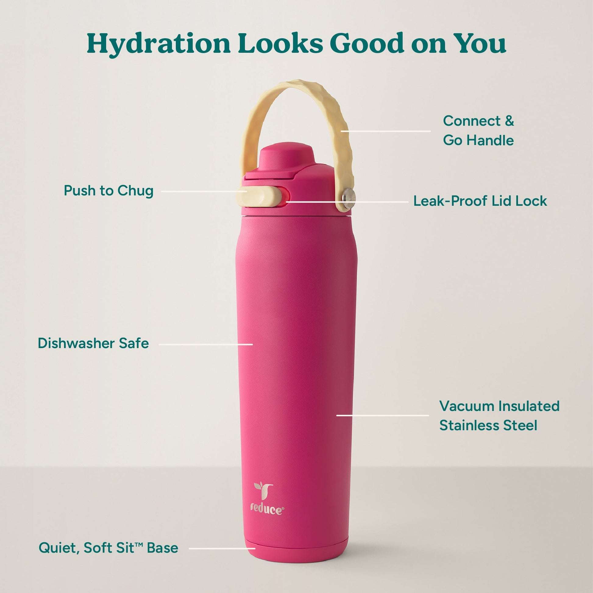 aura-26-oz-r4 Aura_26oz_DragonFruit_PDP_Infographic_2-03.jpg