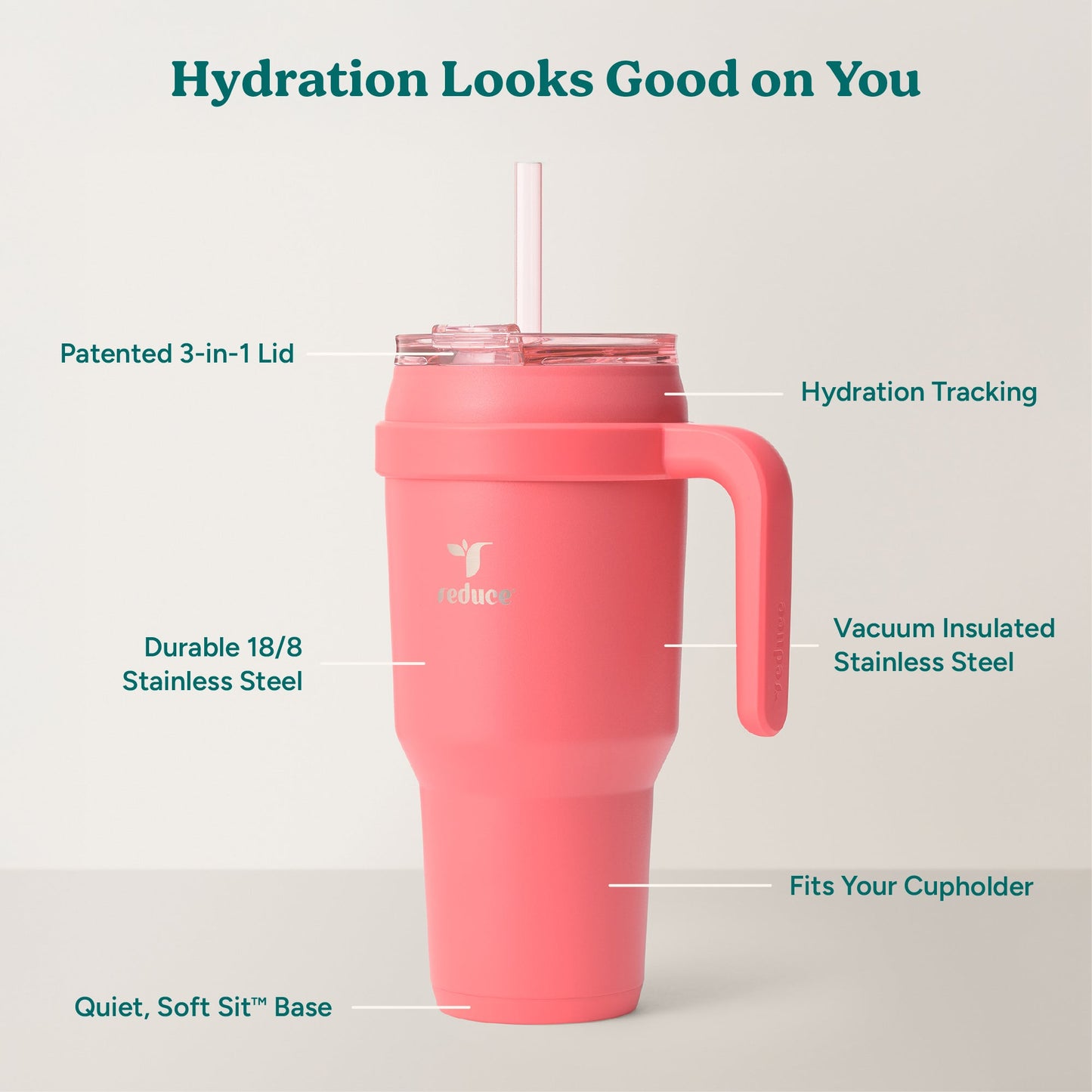 cold1-40-oz-i5 Cold1_40oz_Daiquiri_Infographic_2.jpg