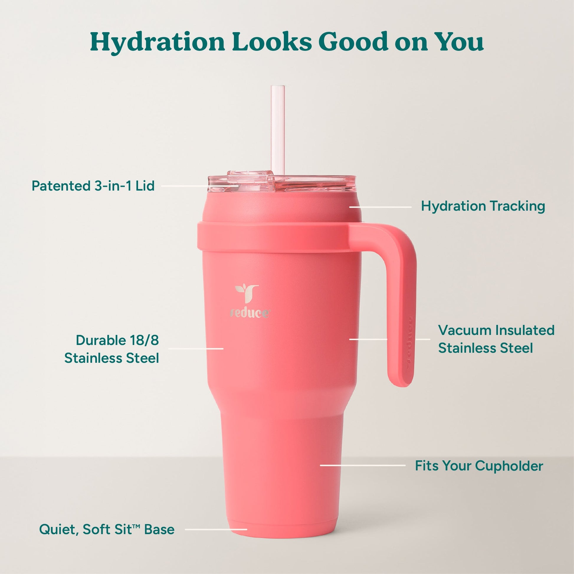 cold1-40-oz-i5 Cold1_40oz_Daiquiri_Infographic_2.jpg