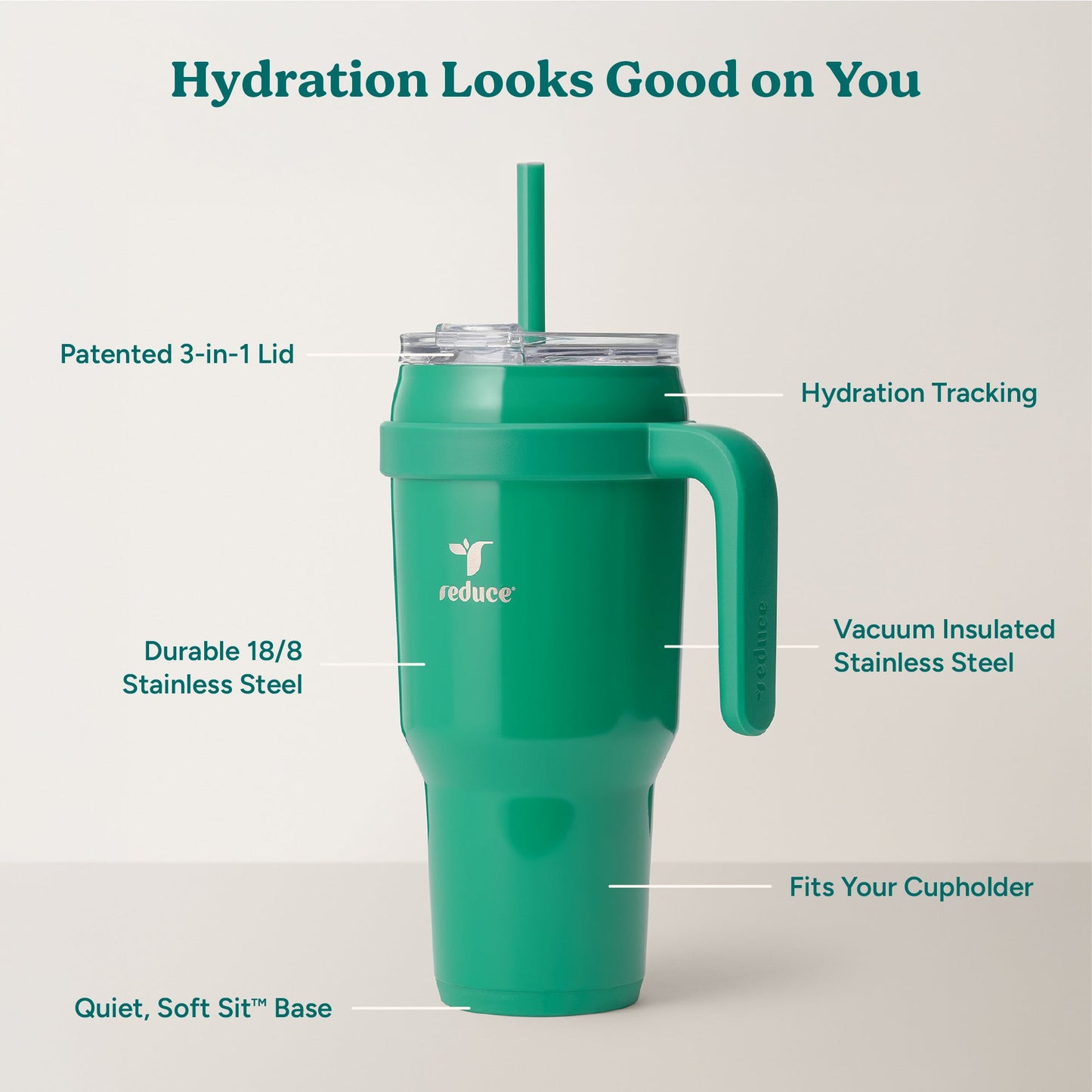 cold1-40-oz-i5 Cold1_40oz_PalmLeaf_Infographic_2.jpg