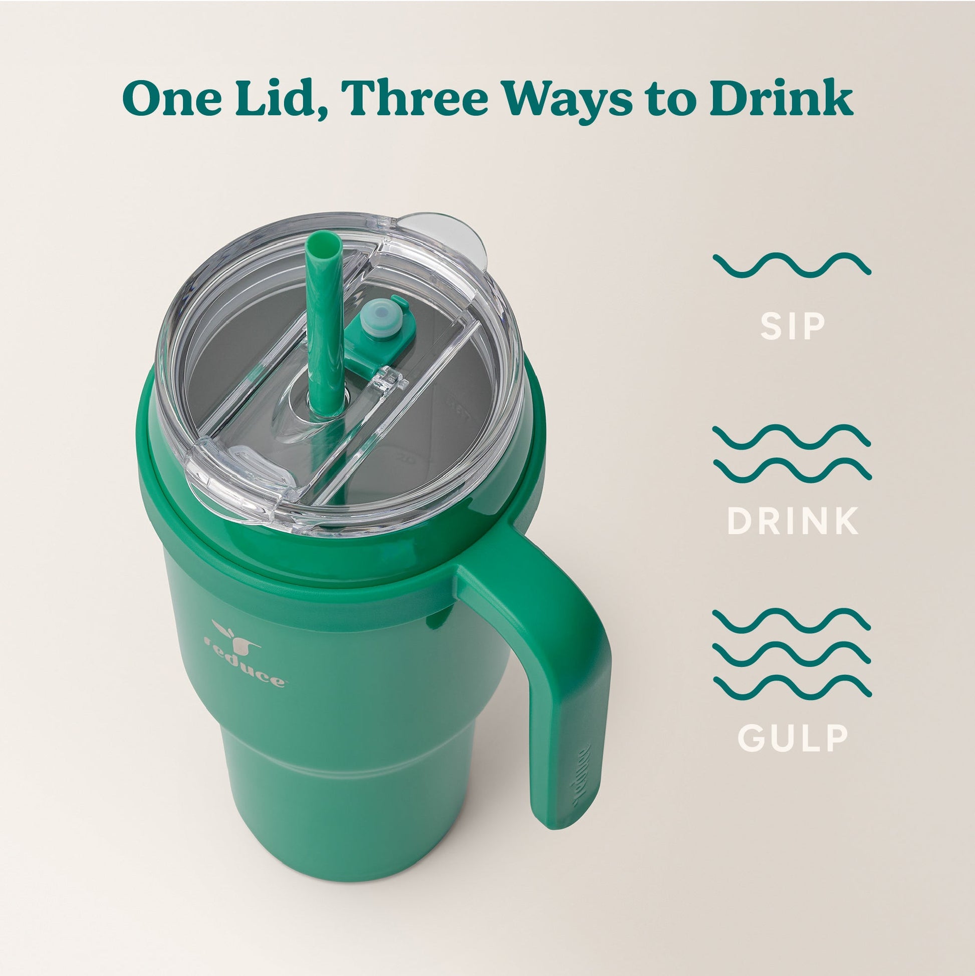 cold1-40-oz-i5 Cold1_40oz_PalmLeaf_Infographic_3.jpg