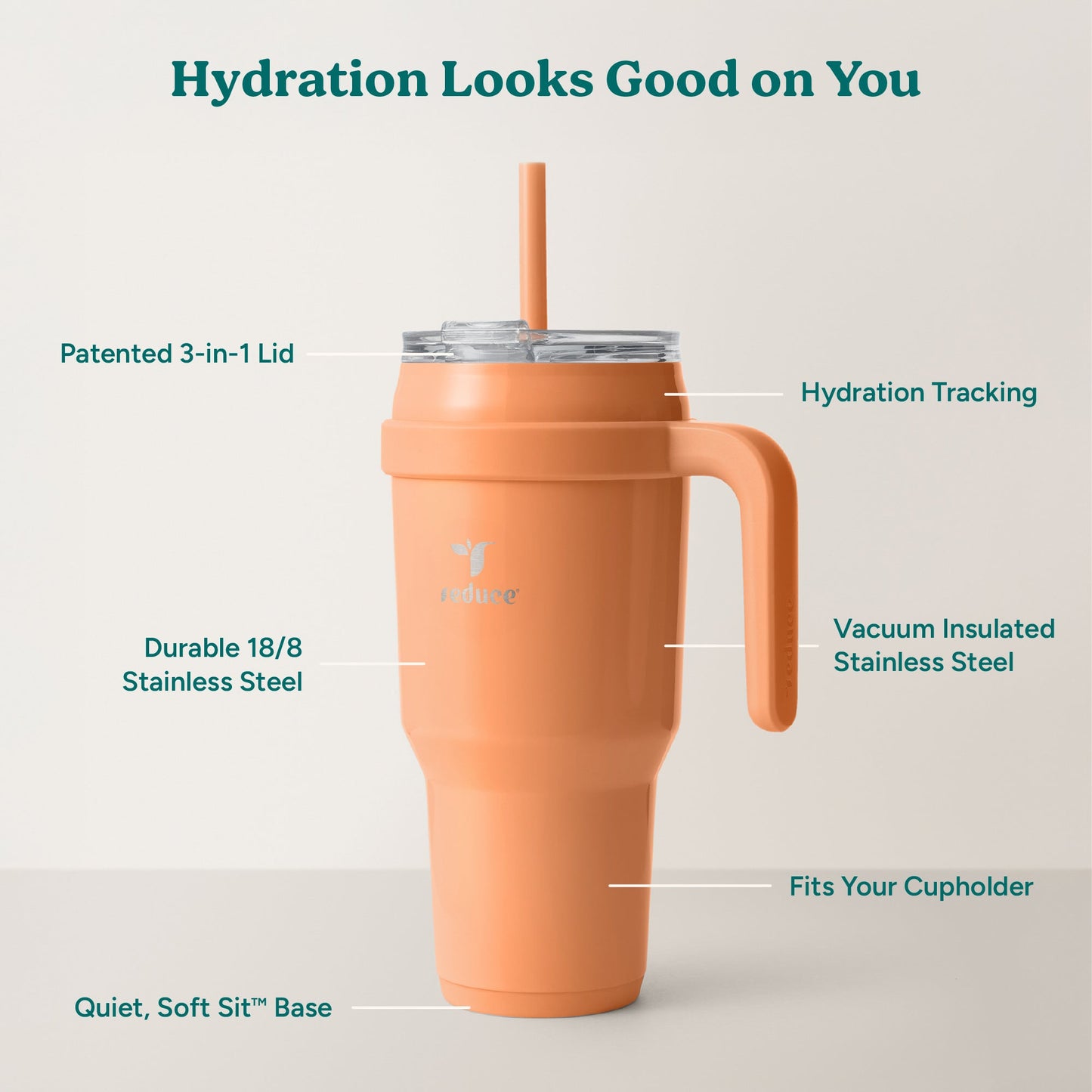 cold1-40-oz-i5 Cold1_40oz_Papaya_Infographic_2.jpg