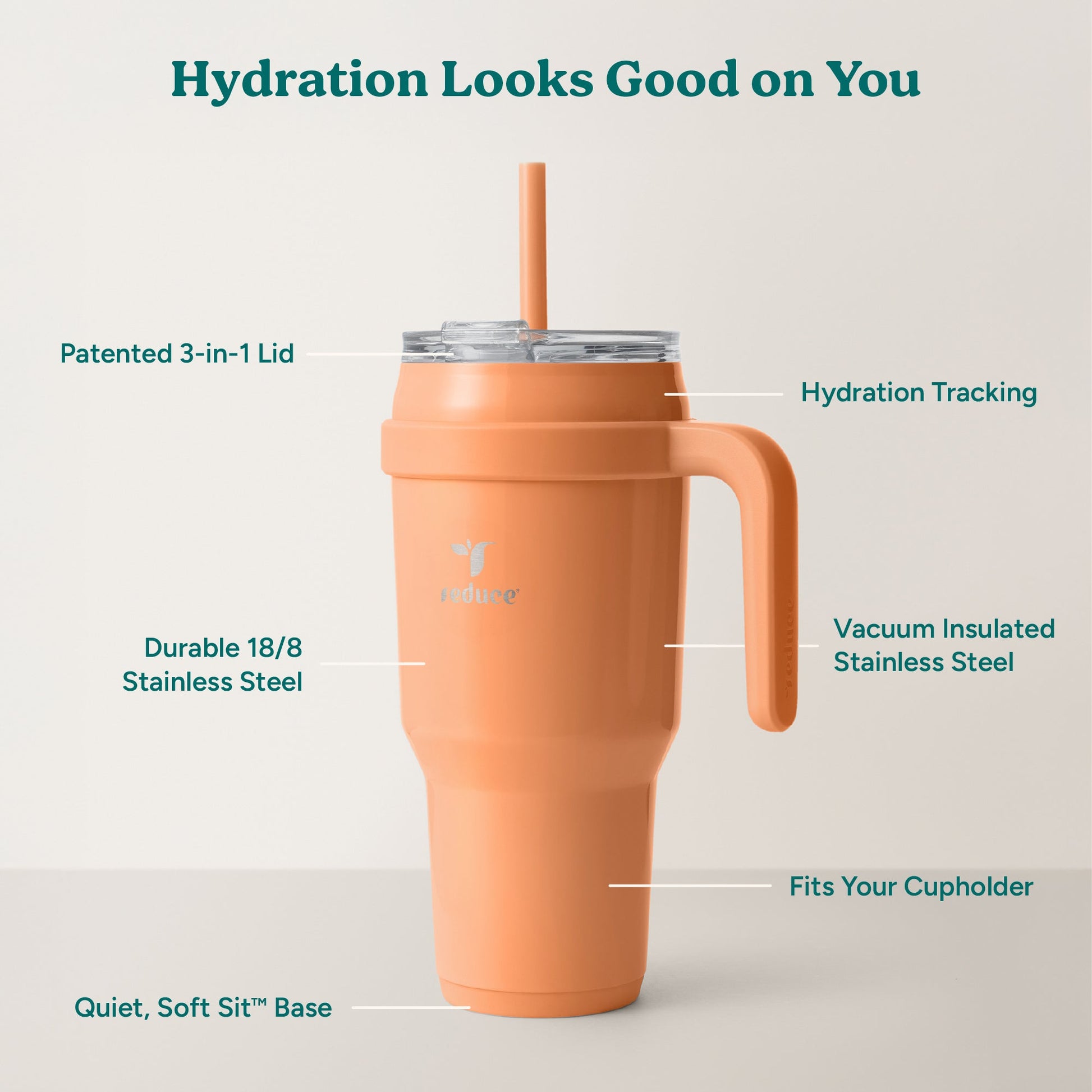 cold1-40-oz-i5 Cold1_40oz_Papaya_Infographic_2.jpg