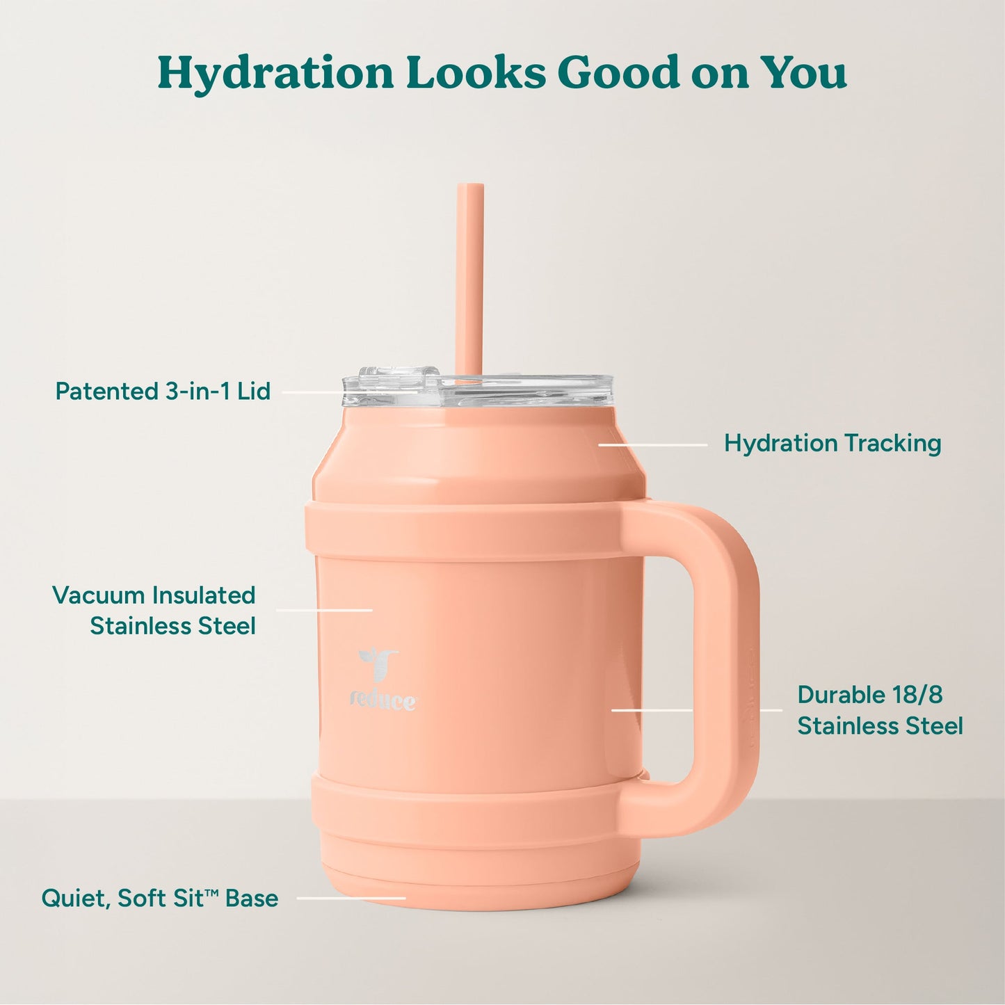 cold1-desktop-50-oz-i7 Cold1_50oz_Desktop_Sedona_Infographic_2.jpg